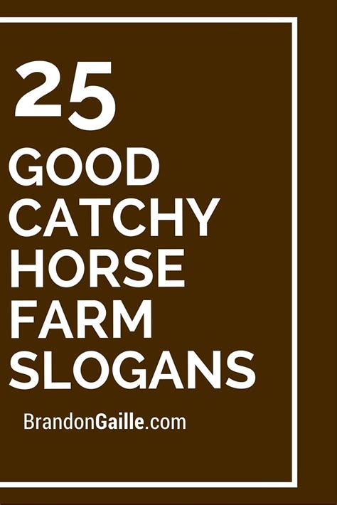 catchy horse slogans.